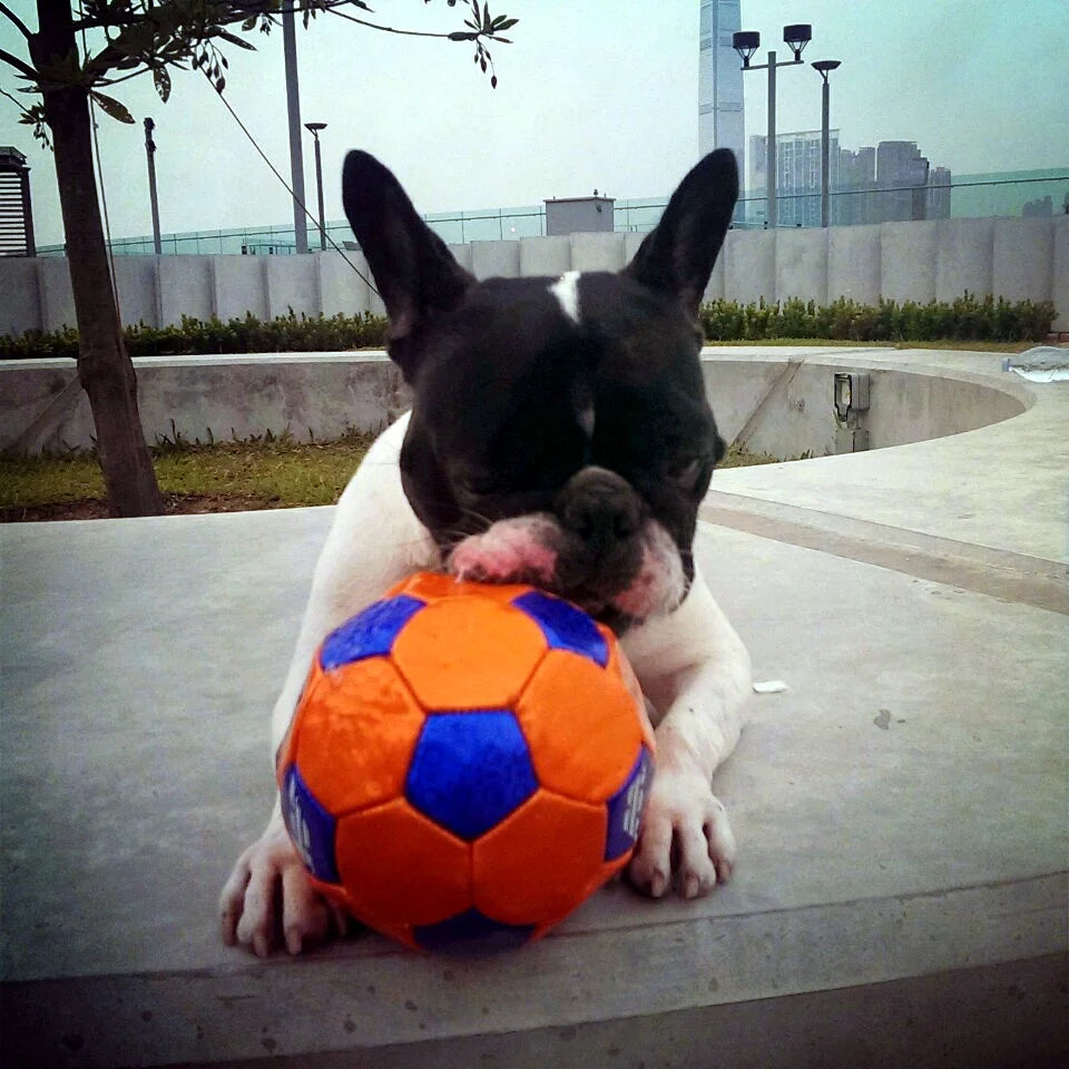 It started with a wrinkly face.