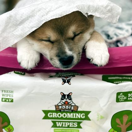 Puppy under a towel after bath time with Pogi's wipes